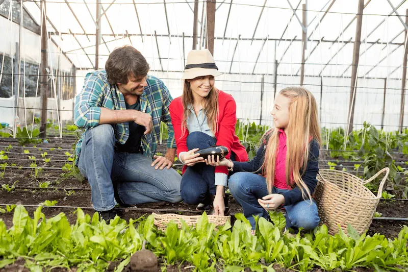 Agritourism Ticketing Solutions